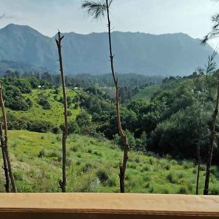 Lava View Lodge Bromo Kültér fotó
