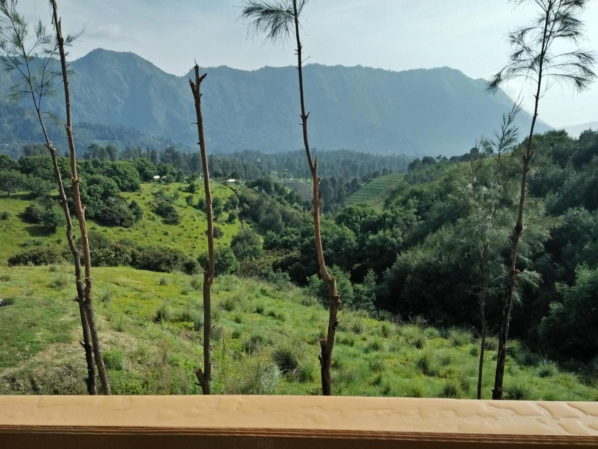 Lava View Lodge Bromo Kültér fotó